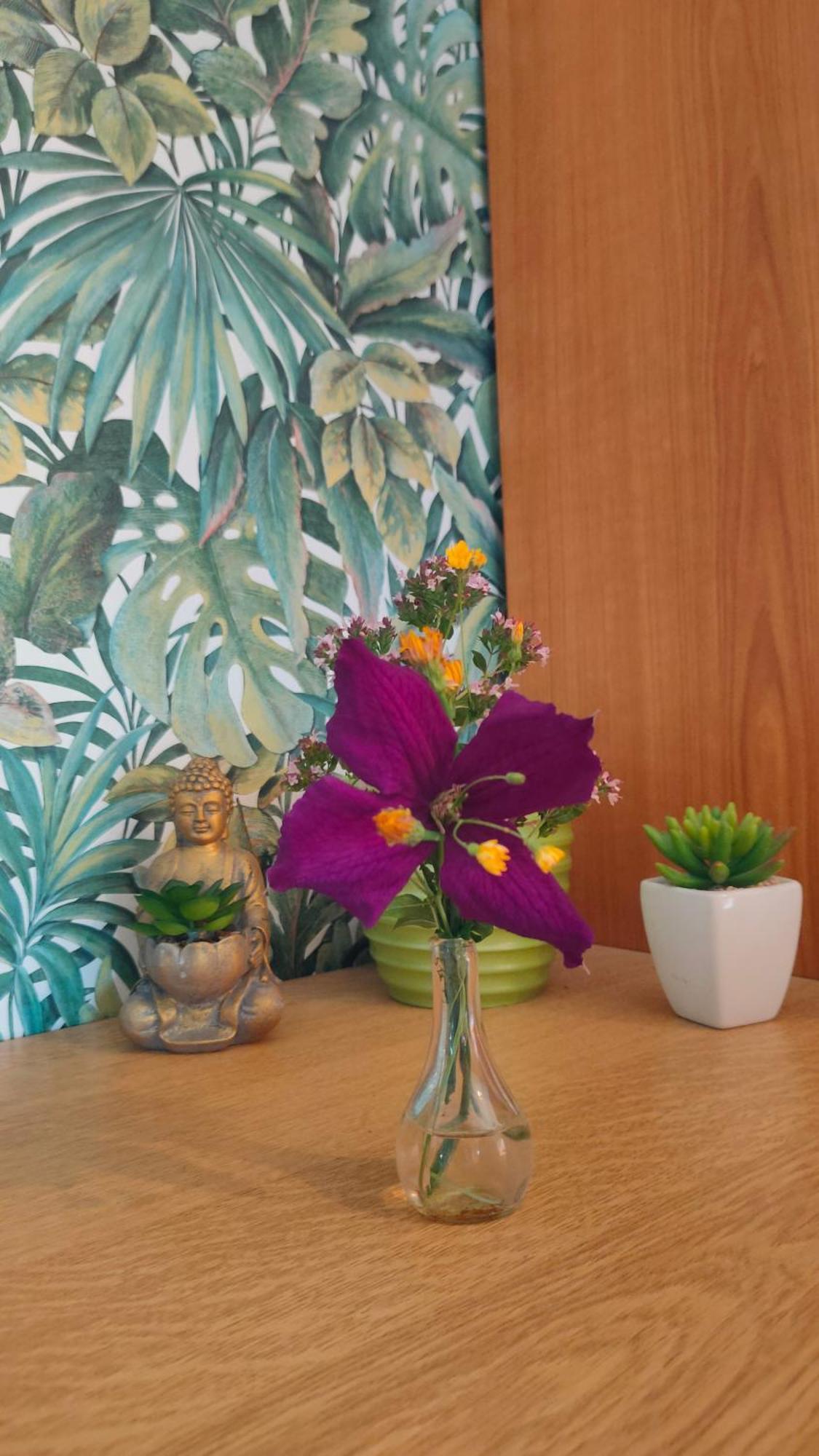 Jan'S Homestay! #Kassel-Lohfelden Room photo